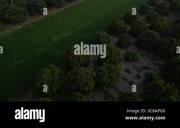 Green cultivated field shows Stock Videos & Footage - HD and 4K Video ...
