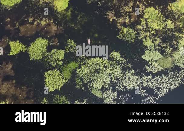 Aerial view of Lake Tisza wetland. Floating water lilies, reeds, and a ...