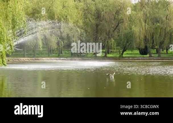 Fountain in the city park Stock Video Footage - Alamy