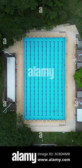 Aerial View of Olympic Swimming Pool with Swimmers. High quality 4k ...
