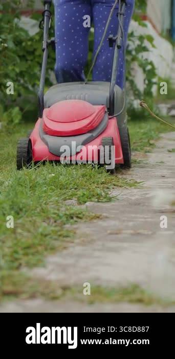 girl is mowing grass by lawn mower around flower pots with roses in the ...