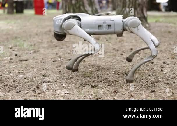 Four Legged Robot Dog Robot Cheetah Robodog Mechanical Device With