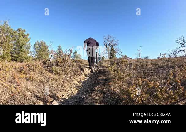 Walking through scrub Stock Videos & Footage - HD and 4K Video Clips ...