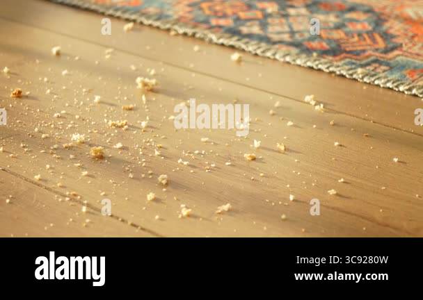 Crushing Lumpy Rug Crumbs and debris are seen spread across a wooden floor by a colorful ...