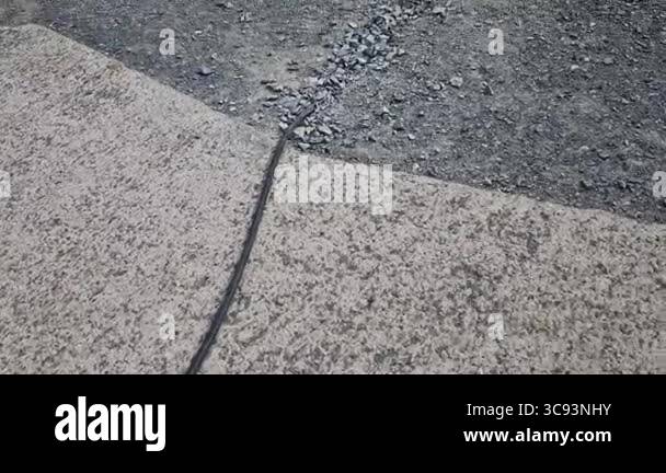 Communication workers bury cables under the road. Temporary placement ...