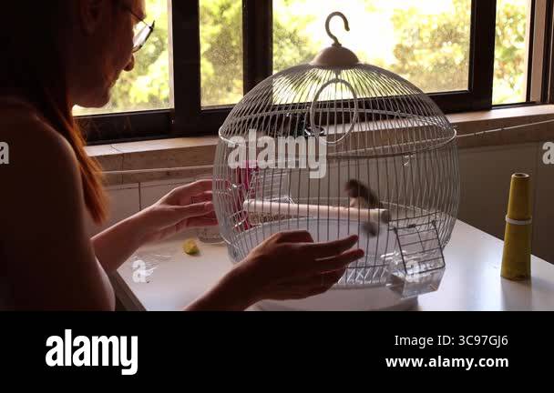 Gallery image with a fresh perspective
