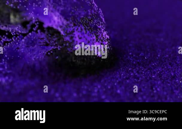 Swirling particles in shades of purple and black create an abstract ...