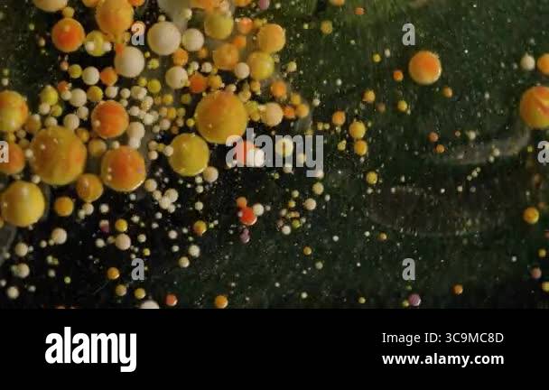 Paint blob ink dissolving oil Stock Videos & Footage - HD and 4K Video ...