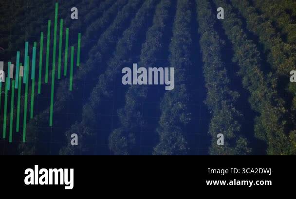 Grid overlay appearing triggers data bars sliding, growing and trend ...