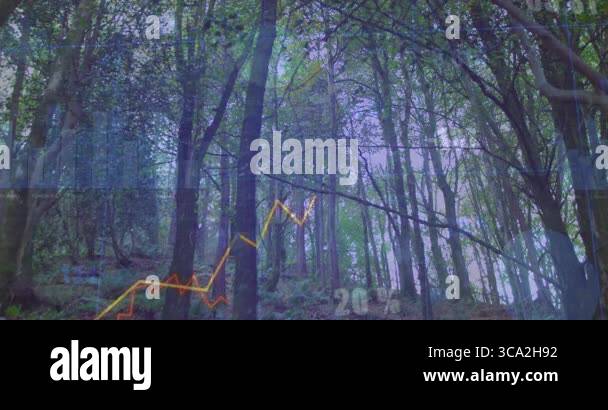Data visualization floating over forest scene, showing grid and colored ...
