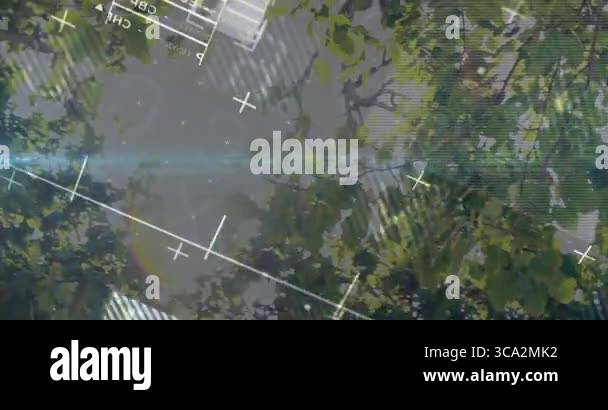 White polyline graph overlaying tree canopy featuring plus icons ...