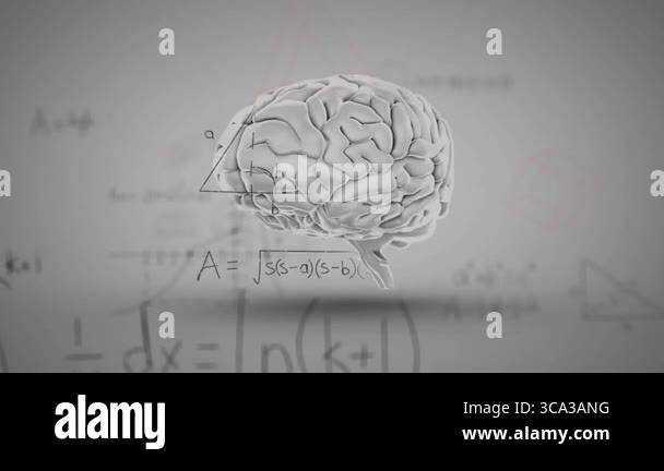 Neuroscience Math 3D-rendered brain model floating over grey gradient backdrop featuring ...