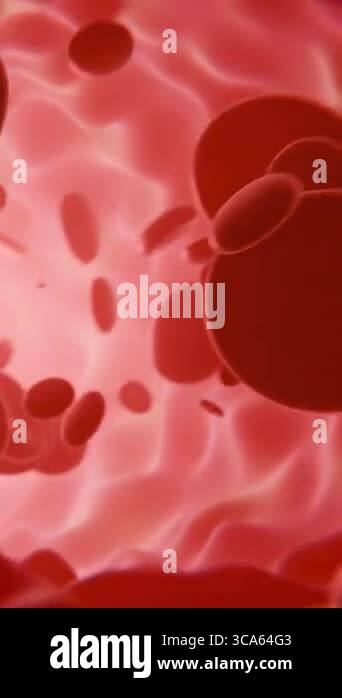 Health concept. Inside the blood vessel, white blood cells inside the ...