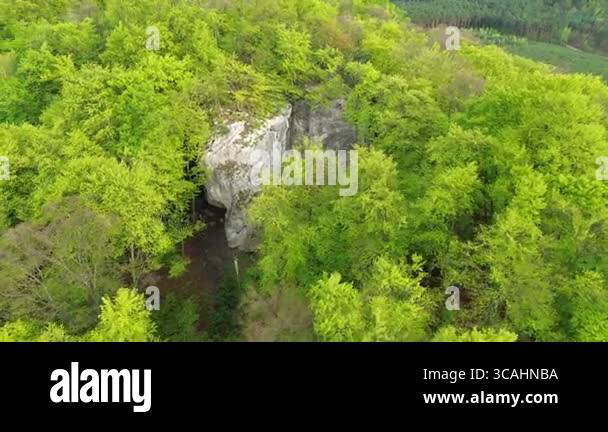 Green Woodland Hiding Stone Formation Stock Video Footage Alamy