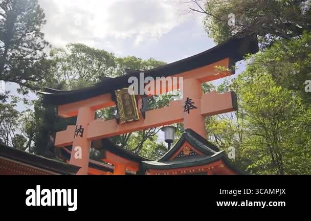 A vibrant red torii gate stands majestically among the trees ...