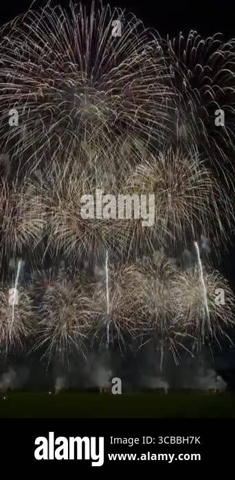 Dynamic Fireworks Fireworks are spectacular displays of light and color, creating a ...