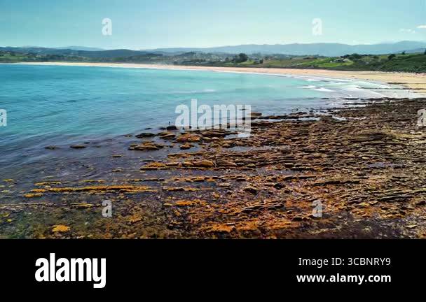 Smooth ocean rocks driftwood Stock Videos & Footage - HD and 4K Video ...