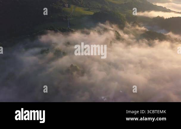 Calm aerial footage of a fog-covered forest during peaceful morning ...