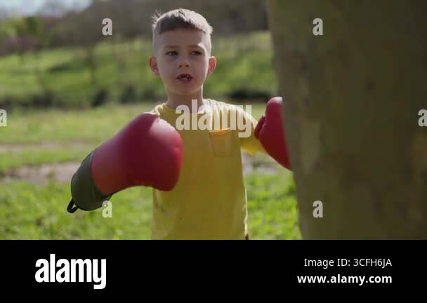 Tree Boxing Car In Child practices boxing punches on a tree in a natural setting Stock ...