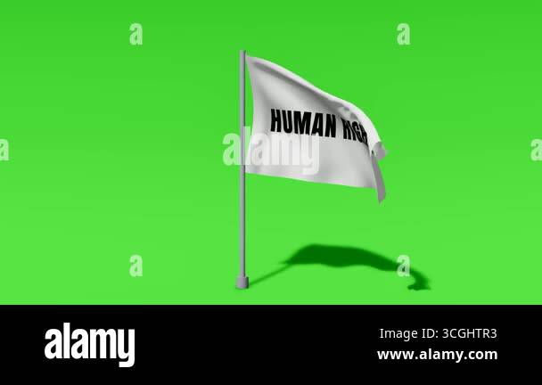Waving human rights flag animation Stock Videos & Footage - HD and 4K ...
