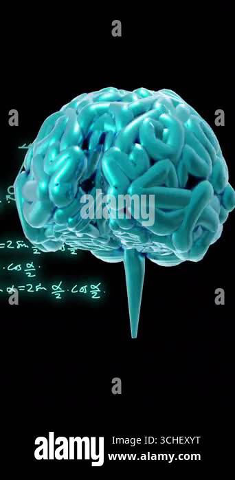 Animation of spinning brain over mathematical equations and figures ...