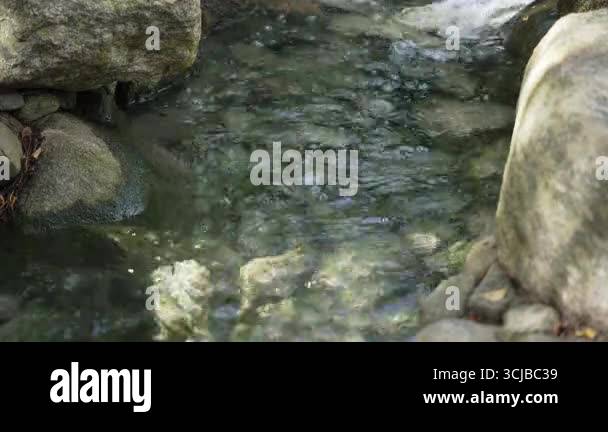 Close-up of flowing water sliding over stones. The clear water shows ...