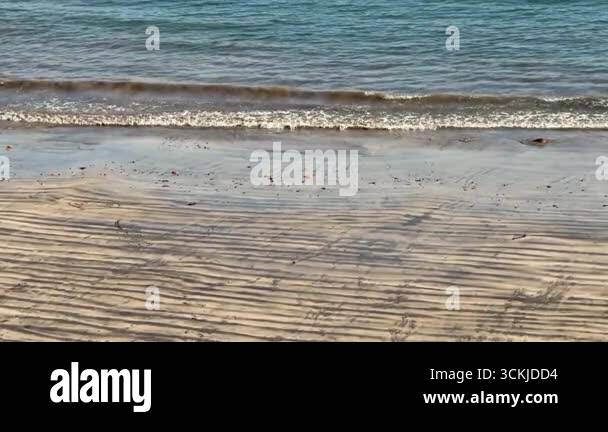 A tranquil beach scene with gentle waves lapping at golden sandy shores ...
