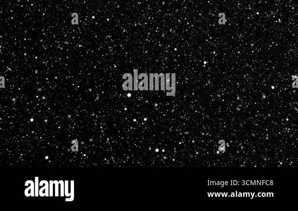 Loop animation glow flickering white stars particles flying on black ...