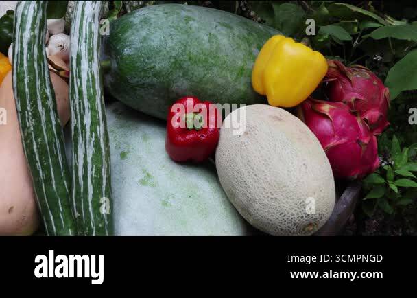Image showcasing Assorted organic vegetables and fruits in a wooden basket. Melon, snake ...