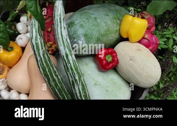 Assorted organic vegetables and fruits in a wooden basket. Melon, snake ... - Using Fruits And Vegetables For Snakes