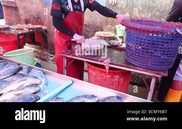 Workers processing fish scales Stock Videos & Footage - HD and 4K Video ...
