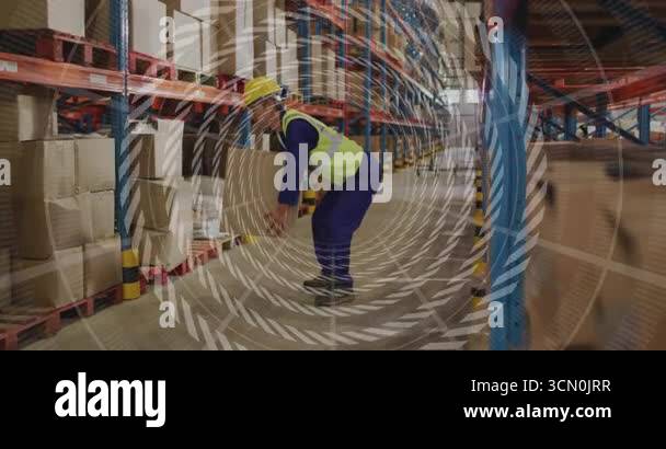 Worker Work By Racking Warehouse worker pausing and surveying pallet rack and squatting ...