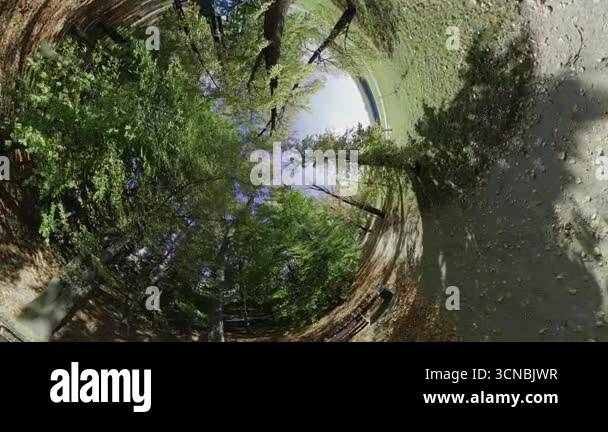 Immerse yourself in the enchanting world of nature with our captivating ...