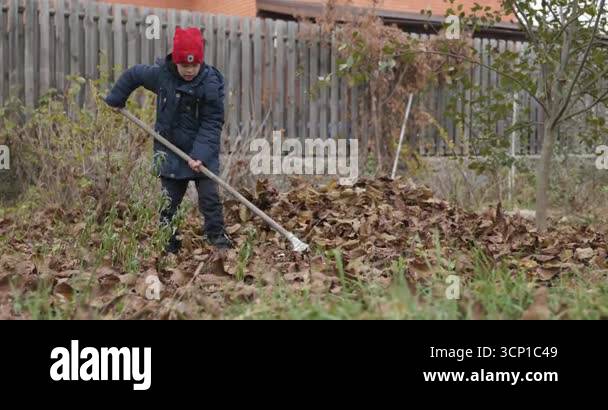 Boy Rakes Leaves in Backyard. Cold Autumn Weather Slow motion 4K 10-bit ...
