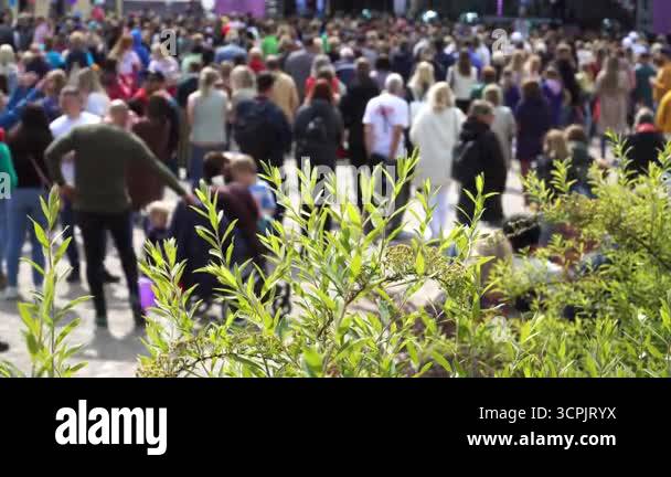A lively outdoor scene with lush green urban plants in the foreground ...
