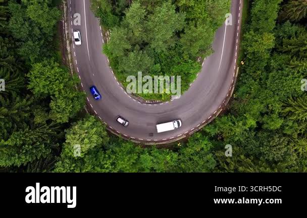 Road loop in the green wood. Four vehicles move one by one along the ...
