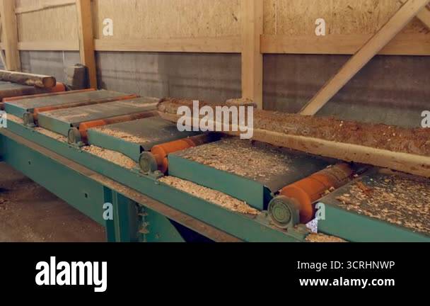 Logs moving on conveyer transporter from cutting machine at woodworking ...