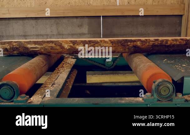Logs moving on conveyer transporter from cutting machine at woodworking ...