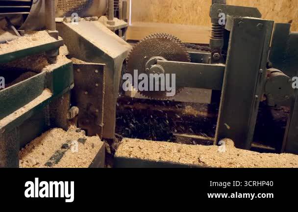 Logs moving on conveyer transporter to cutting machine at woodworking ...