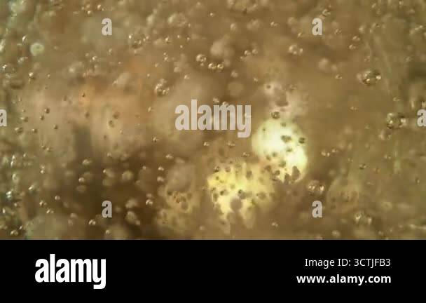 Super Slow Motion Shot of Rising Bubbles in a Fresh Sparkling Drink at ...