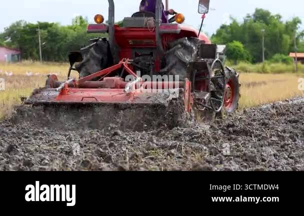 Tractor plowing muddy rice field, mud in the paddy, showing soil ...
