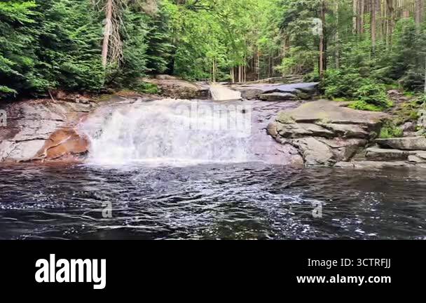 A serene waterfall flows through a lush forest of towering trees and ...