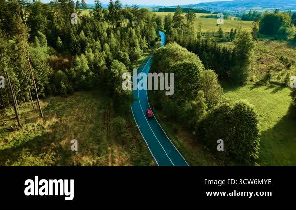 Car driving on curvy road through green forest. Red sedan moving along ...