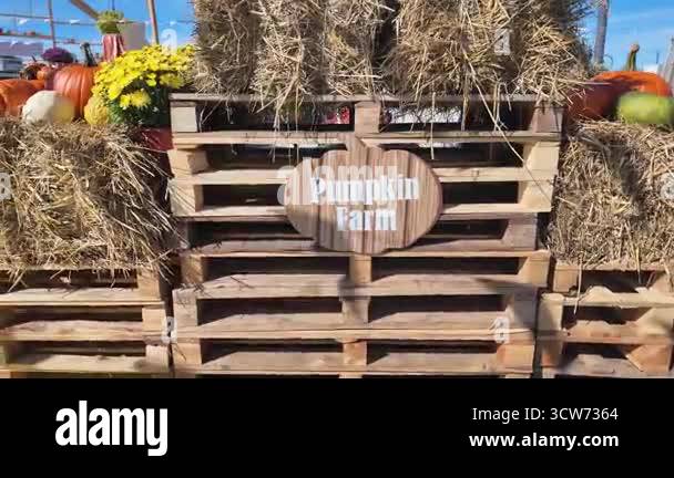 Festive autumn harvest arrangement featuring stacked wooden pallets ...