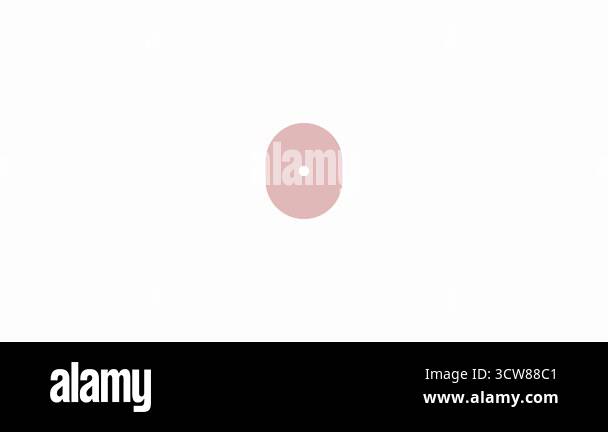 SIGN Animated Button Design, Button Converts into Loading Circle with ...