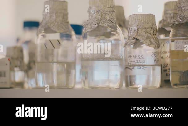 Close-up shot of medical beakers stored in a laboratory cabinet ...