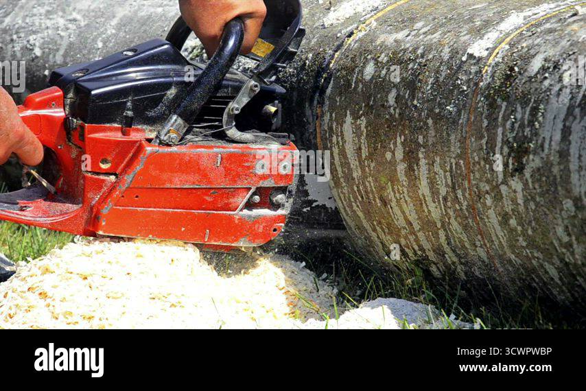 Man cutting log chain saw Stock Videos & Footage - HD and 4K Video ...