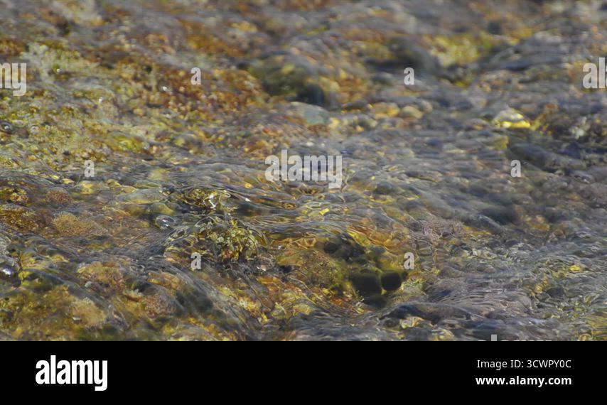 Ocean sea water cplashes on coast rocks LOOP. The water waves are ...