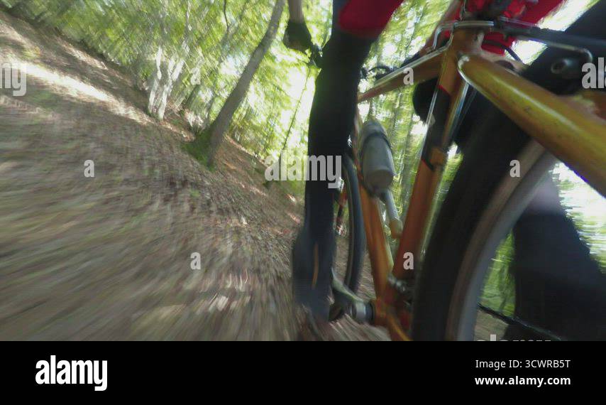 MTB Mountain bike downhill racer riding fast in the forrest, 4k ...