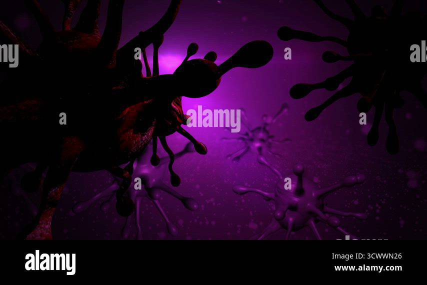 3d animation of fast flight through the brain Stock Video Footage - Alamy